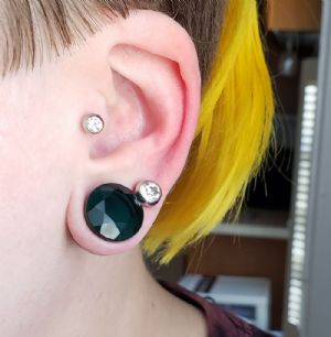 Faceted Glass Plugs Customer Photo