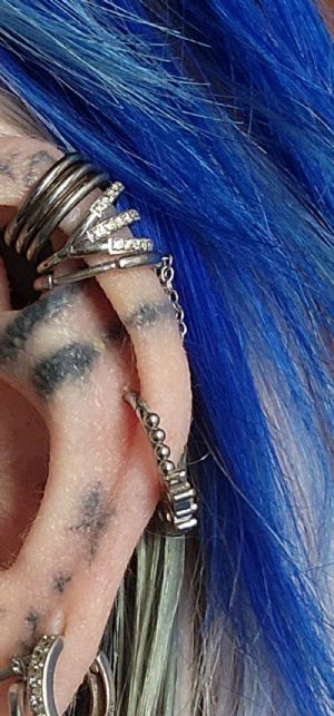 Discount Bin (Steel Septum Clickers) Customer Photo