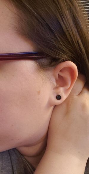 Stone and Glass Rose Plugs Customer Photo