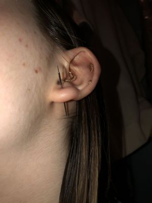 Titanium Threadless Pin Taper Customer Photo