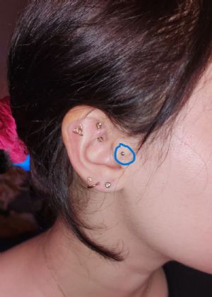 Titanium Rose Cut Cabochon Threadless End Customer Photo
