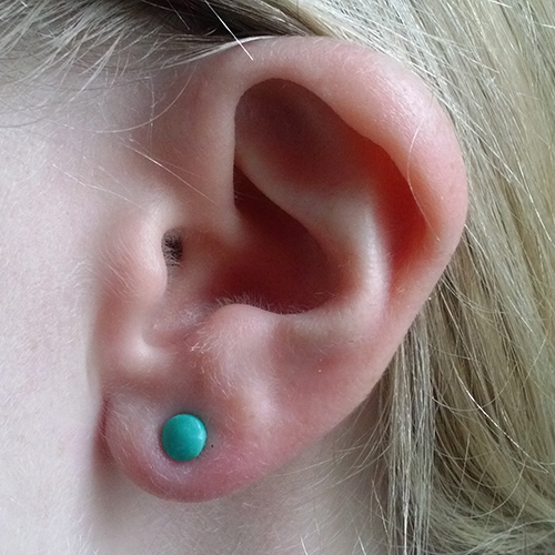 Genuine Arizona Turquoise Plugs